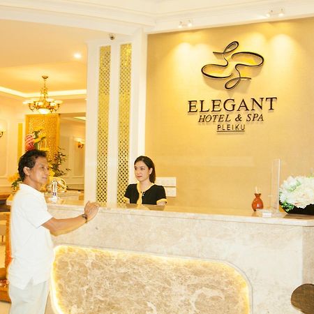 Elegant Hotel Плейку Экстерьер фото